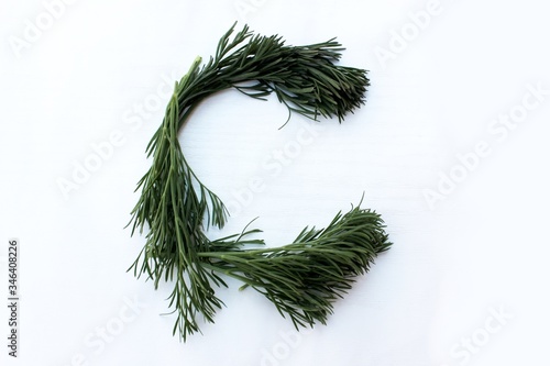 Obraz na płótnie Letter C made from green dill isolated on a white background. Alphabet made of vegetables and herbs. Healthy eating. Capital letter C made from natural green products on a white background w salonie