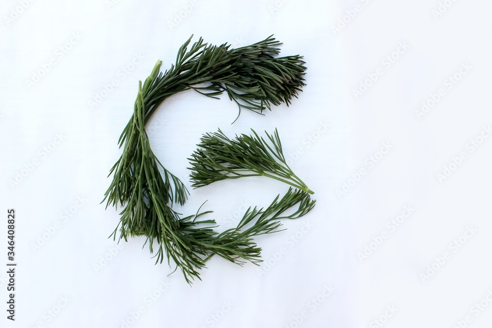 Letter G made from green dill isolated on a white background. Alphabet made of vegetables and herbs. Healthy eating. Capital letter G made from natural green products on a white background