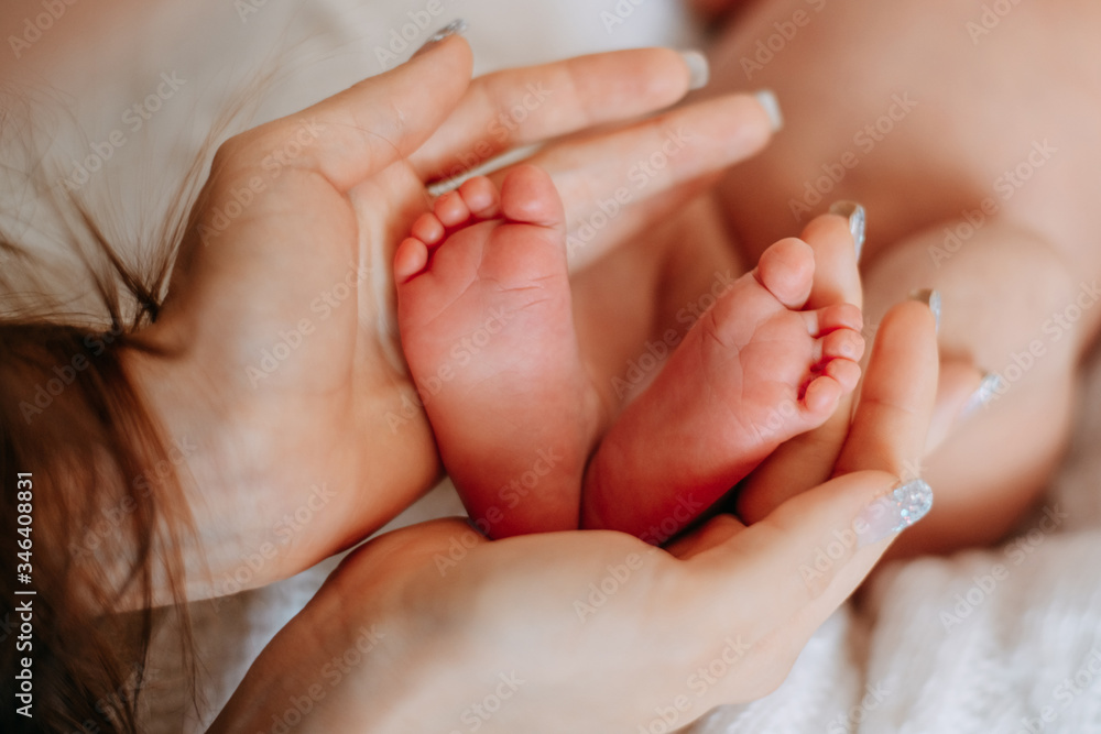 Baby's legs in a pink blanket. Feet of a newborn. Fingers of a newborn girl.