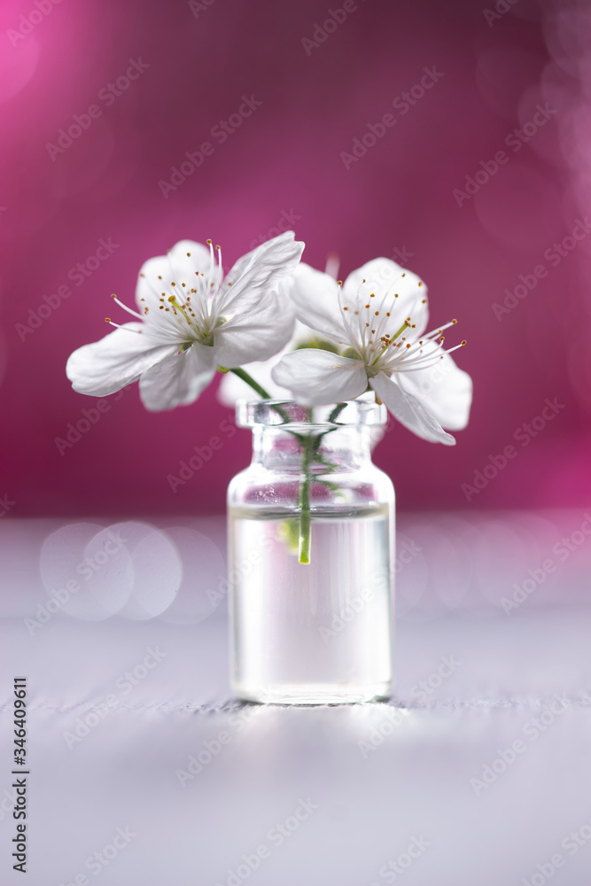 spring flowers on a pink background
spring flowers on a pink background