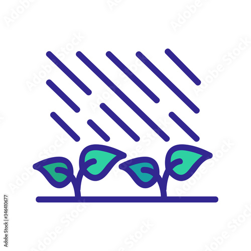 clear rain for flower growth icon vector. clear rain for flower growth sign. color symbol illustration