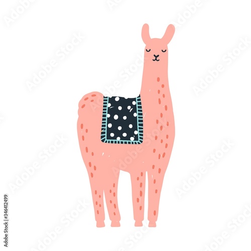 Cartoon colorful hand drawn funny lama vector flat illustration. Adorable dom...