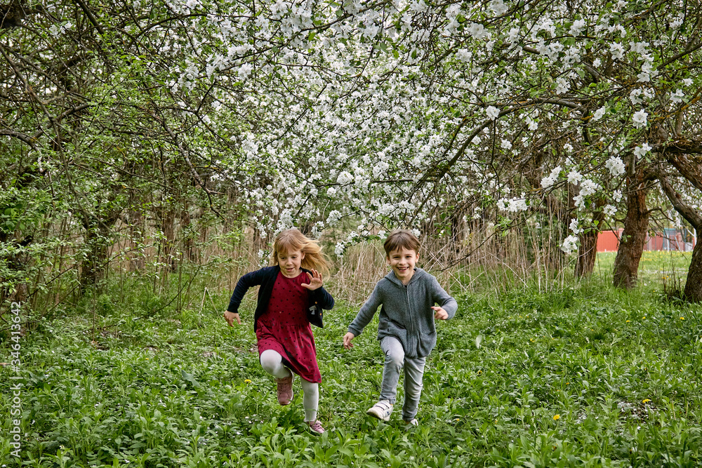 Children run on the grass against the background of a blooming garden and green grass. A happy family.