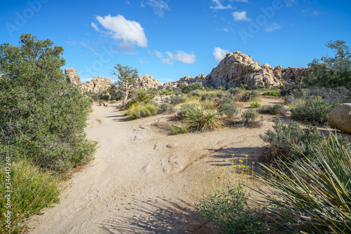 hiking the hidden valley trail in joshua tree national park, california, usa