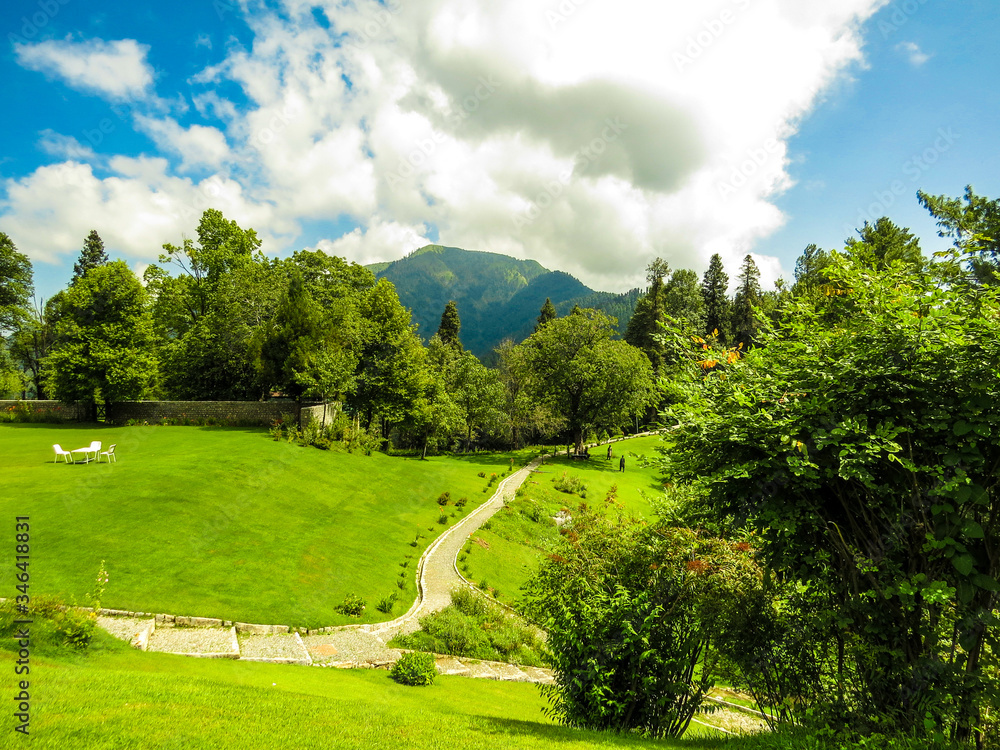 Fototapeta premium blissful morning