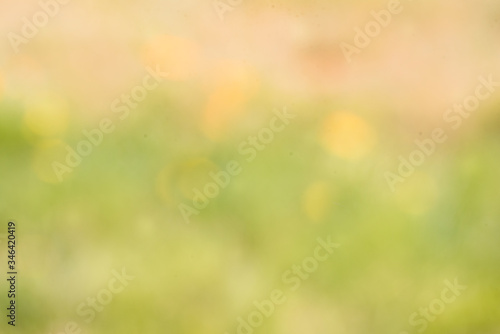 Bokeh background. Element of design. Spring summer background. Juicy young green grass in defocus.Pink green background.