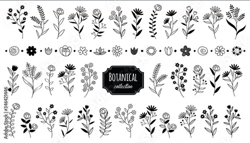Set vintage botanical elements flower. Hand drawn rustic vector design element. Compositions simple and modern with flowers, herbs, leaves and branches illustrations.