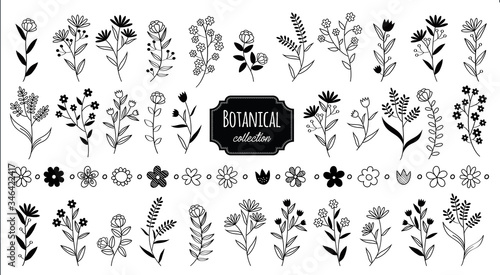 Set vintage botanical elements flower. Hand drawn rustic vector design element. Compositions simple and modern with flowers, herbs, leaves and branches illustrations.