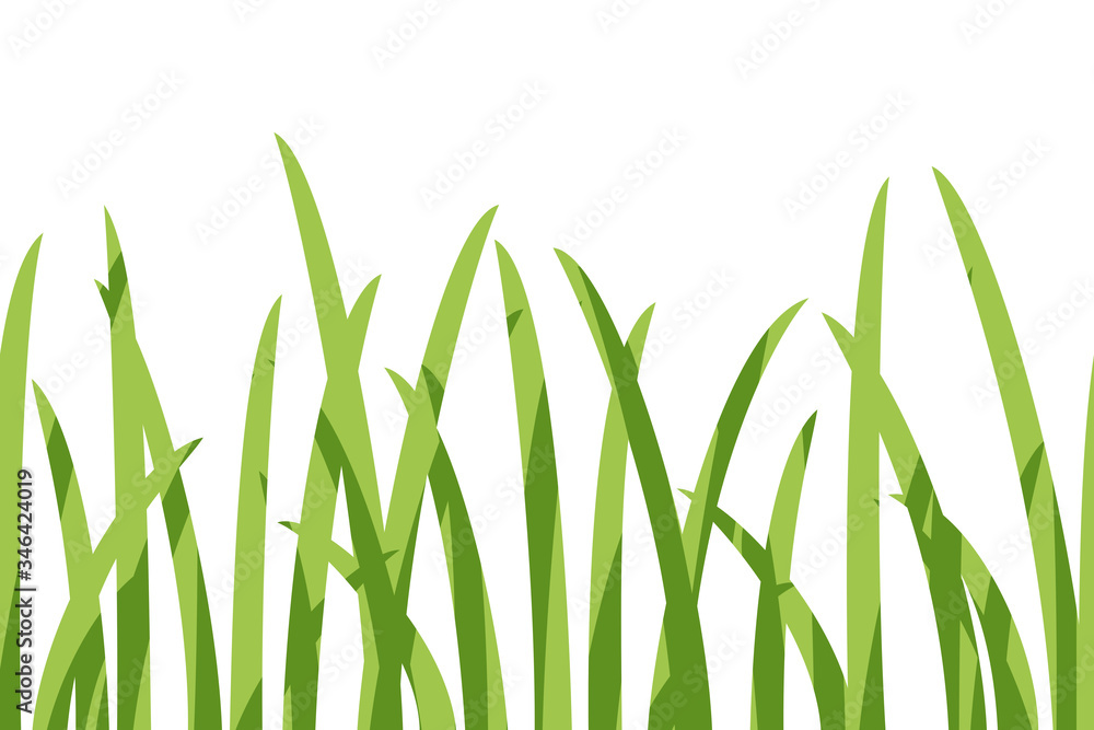 Fototapeta premium Vector horizontal seamless border with green grass.