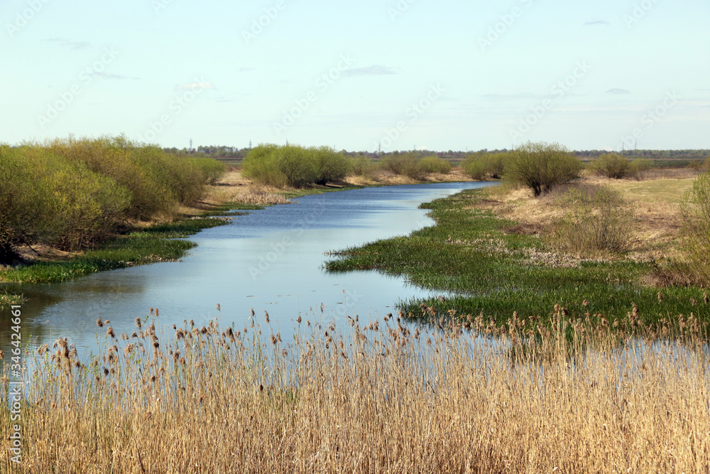 Spring landscape in Polesie - the southwestern region of Belarus in the Pripyat river valley.