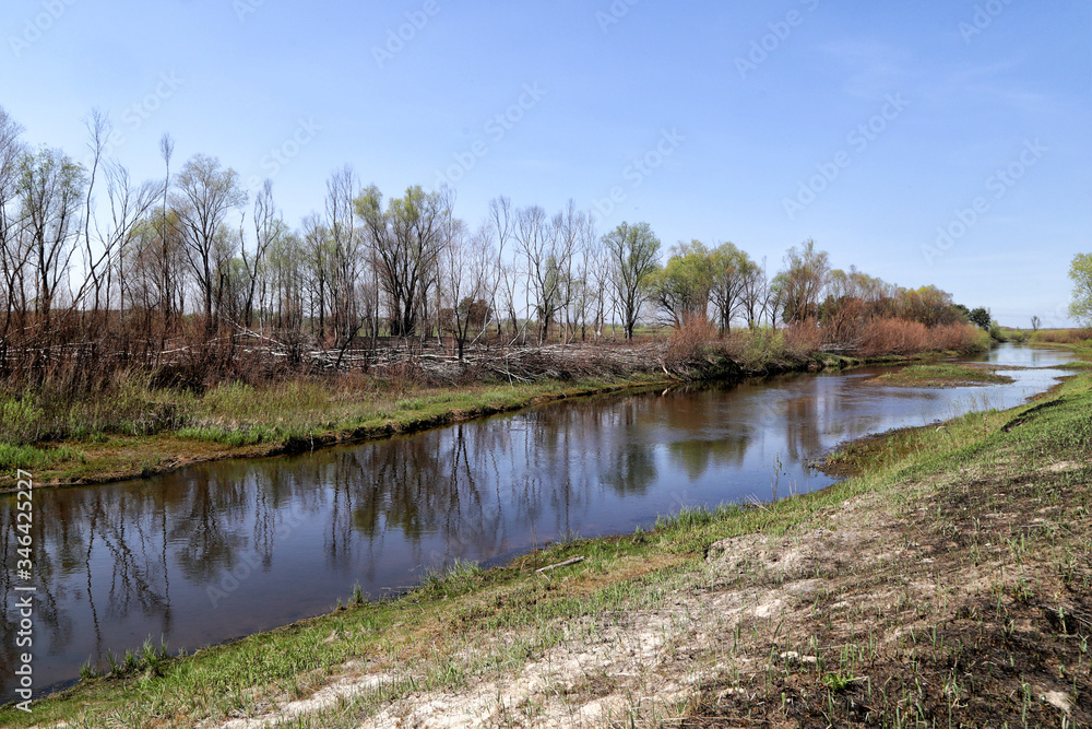 Spring landscape in Polesie - the southwestern region of Belarus in the Pripyat river valley.