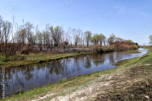 Spring landscape in Polesie - the southwestern region of Belarus in the Pripyat river valley.