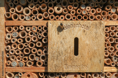 Insektenhotel im Garten, mit Niströhren aus Bambus Holz, teilweise schon von Bienen verschlossen mit der Aufschrift "Bienenhotel - Zimmer frei" und einer Biene die auf dem Holz sitzt.