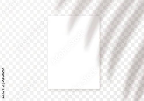 Vector shadow overlay. Vector transparent palm leaves shadow and a4 card