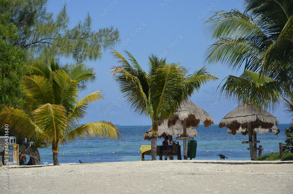 Obraz premium Plaża w Cancun w Meksyku na Jukatanie i widok na morze karaibskie.