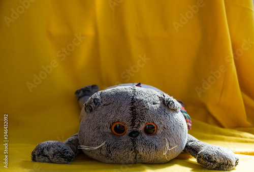 soft toy grey cat with big eyes © Alena Petrachkova