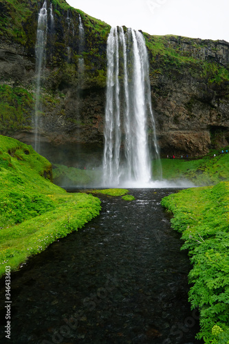 Seljalandsfoss waterfall with a river and green fields with yellow flowers in Iceland 