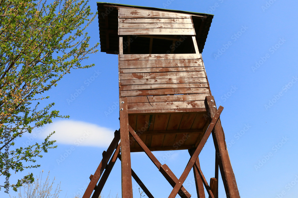 wooden hunter hut on clear blue sky background.
wooden hunter hut on clear blue sky background.