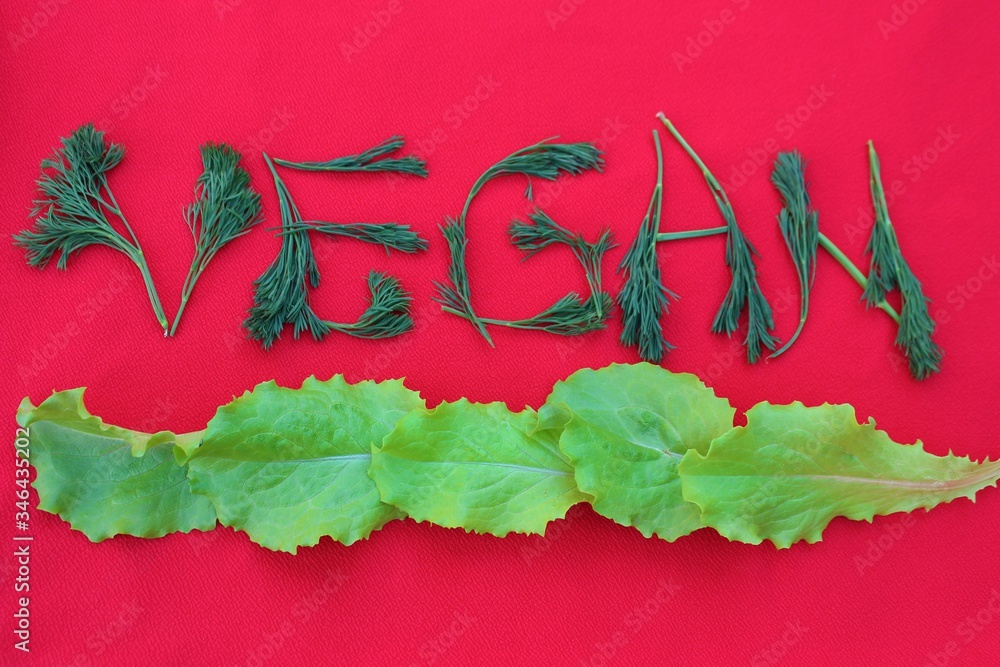 Vegan written from dill and herbs. Concepts for design. The word vegan on a red background, top view. Vegan food concept