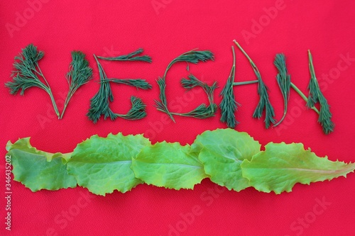 Obraz na płótnie Vegan written from dill and herbs. Concepts for design. The word vegan on a red background, top view. Vegan food concept w salonie
