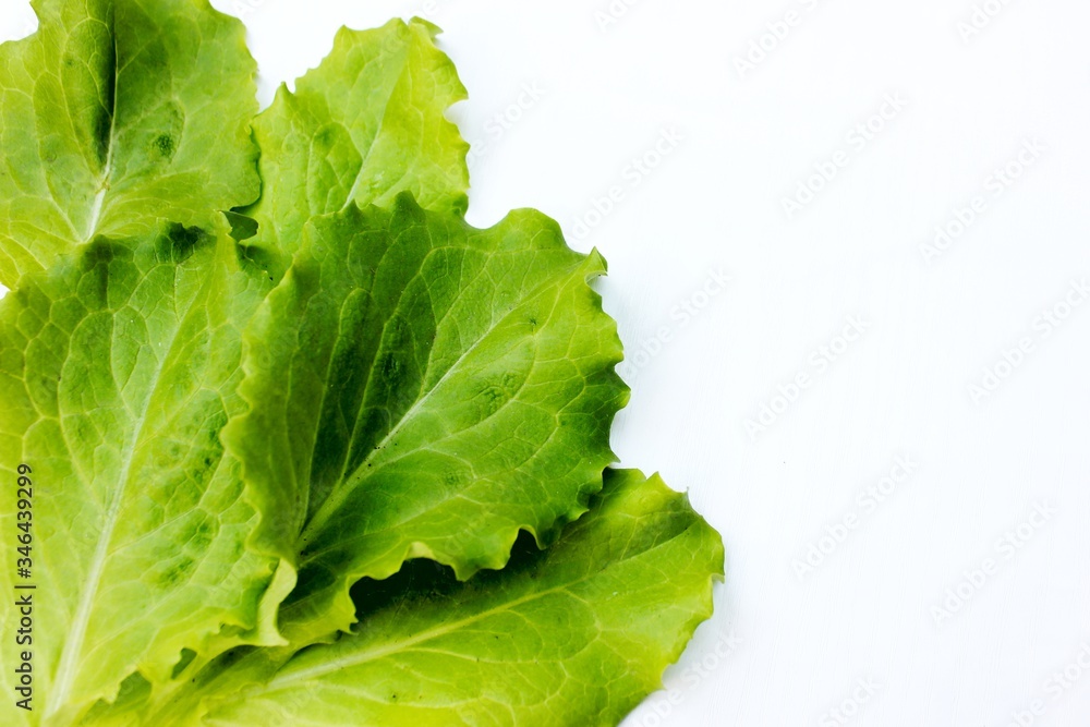 Frame from lettuce leaves isolated on white, top view. Vegetarian food. Background of fresh greenery with place for text.
