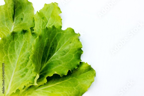 Obraz na płótnie Frame from lettuce leaves isolated on white, top view. Vegetarian food. Background of fresh greenery with place for text. w salonie