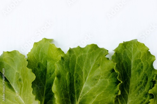 Obraz na płótnie Frame from lettuce leaves isolated on white, top view. Vegetarian food. Background of fresh greenery with place for text. w salonie
