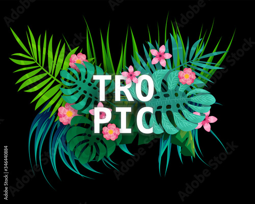 Summer tropical leaves exotical plants palm jungle leaf