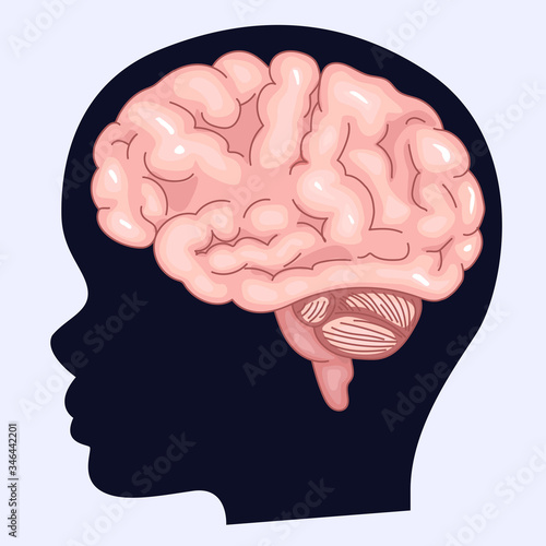 Image of the brain and silhouette of a human profile. Children's brain and fantasy. ASMR triggers.