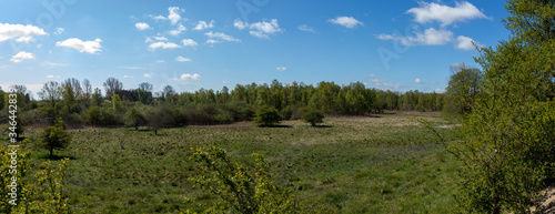 landscape with trees and blue sky with clouds