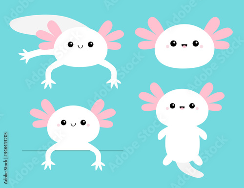 Cute axolotl set. Mexican salamander. White axolotyl. Ambysoma mexicanum. Cartoon kawaii funny smiling baby character. Water dragon. Pink horns. Flat design. Isolated. Blue background.