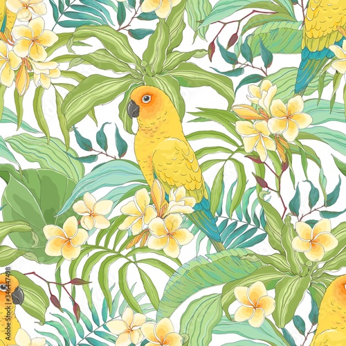 Seamless pattern with flowers Plumeria, leaves and Parrot Sun Conure. Vector illustration in vintage style on white background.