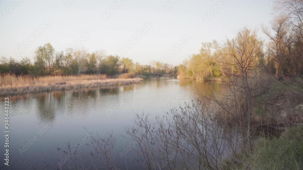 Riverbanks overgrown with dense vegetation Riverbanks overgrown with dense vegetation