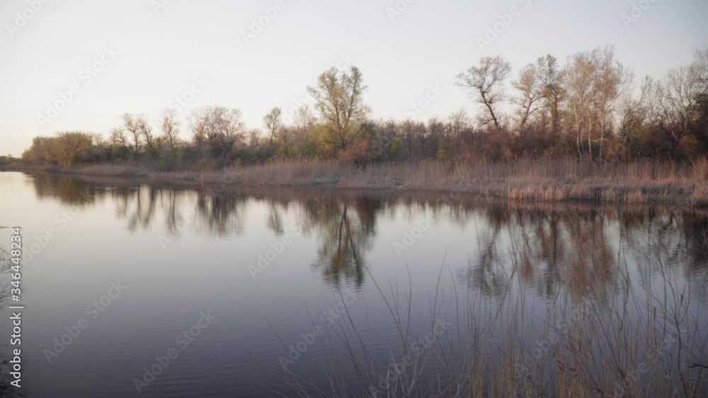 Riverbanks overgrown with dense vegetation Riverbanks overgrown with dense vegetation