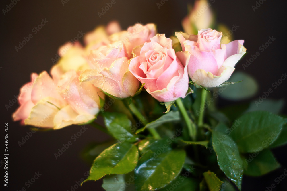 A bouquet of wonderfully beautiful tea roses A bouquet of wonderfully beautiful tea roses