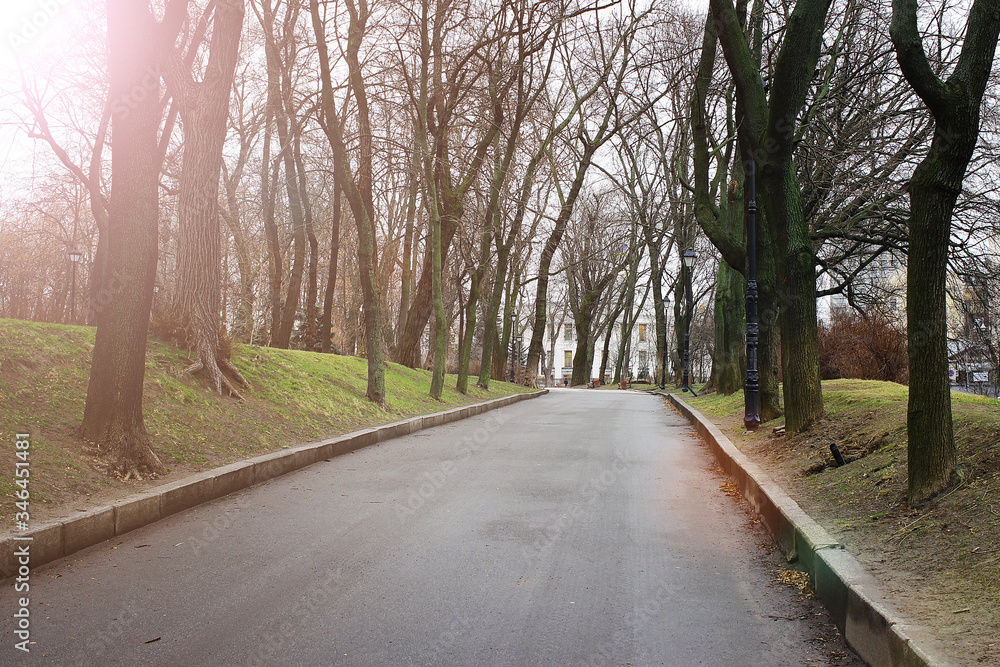 Asphalt road in the park along old trees