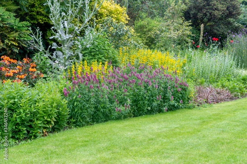 Canvas Print london parks garden beautiful detail