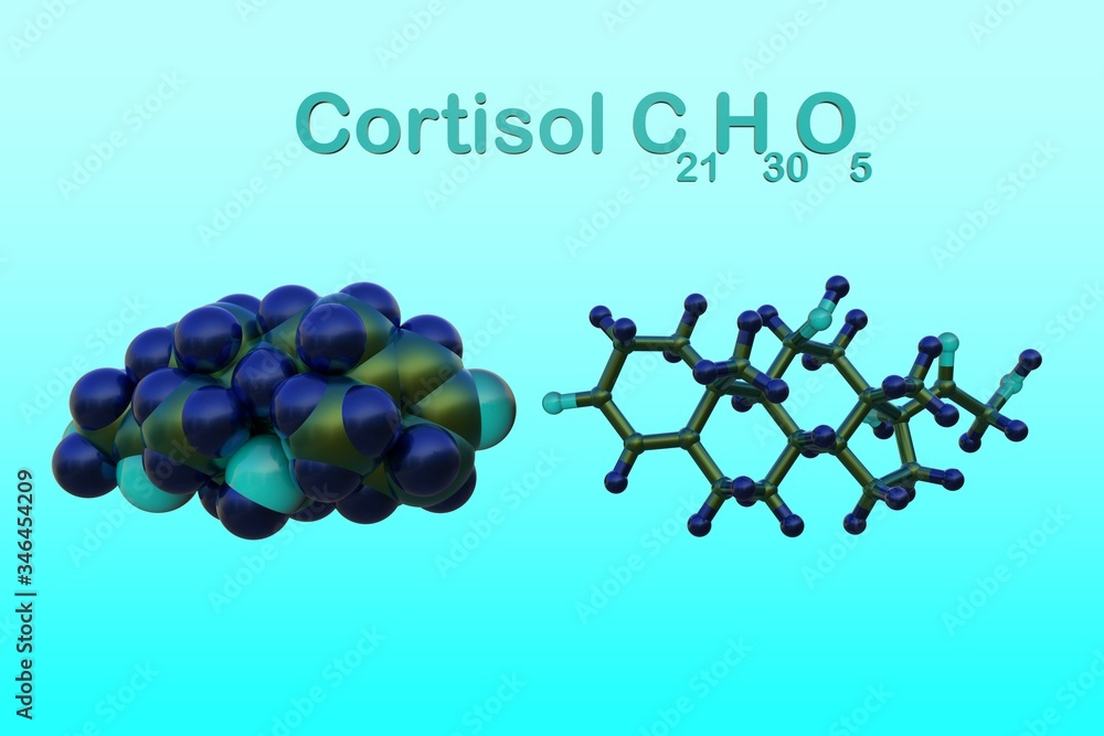 Structural chemical formula and molecular model of cortisol, a steroid ...