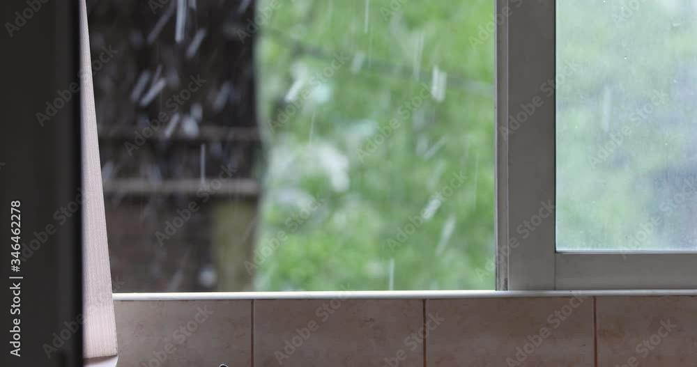 gray cat looks out the window in the summer and it snows. The cat is afraid. gray cat looks out the window in the summer and it snows. The cat is afraid.