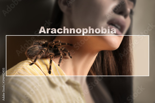 Foto Closeup view of woman with tarantula, focus on spider