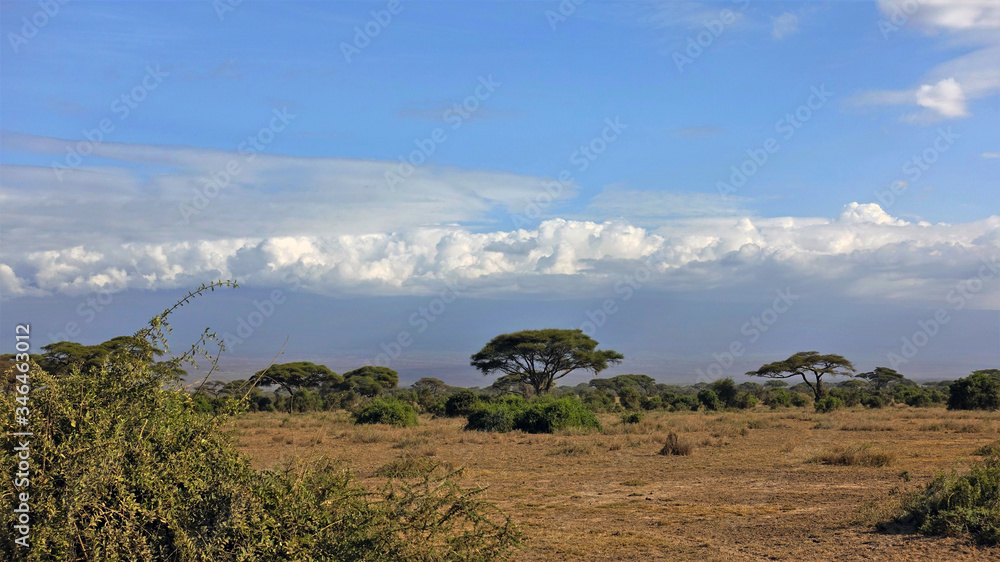 Kenya. Typical african landscape. Dry grass of the savannah, green umbrella acacia. A ridge of beautiful clouds in the blue sky. Kenya. Typical african landscape. Dry grass of the savannah, green umbrella acacia. A ridge of beautiful clouds in the blue sky.