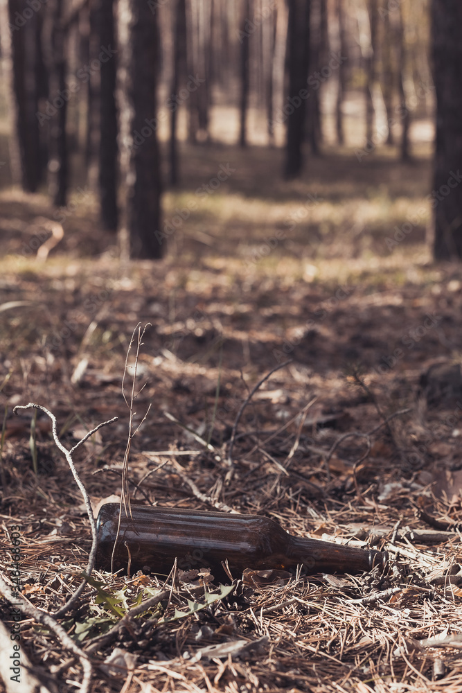 Brown glass bottle on the ground in a pine forest. Brown glass bottle on the ground in a pine forest.