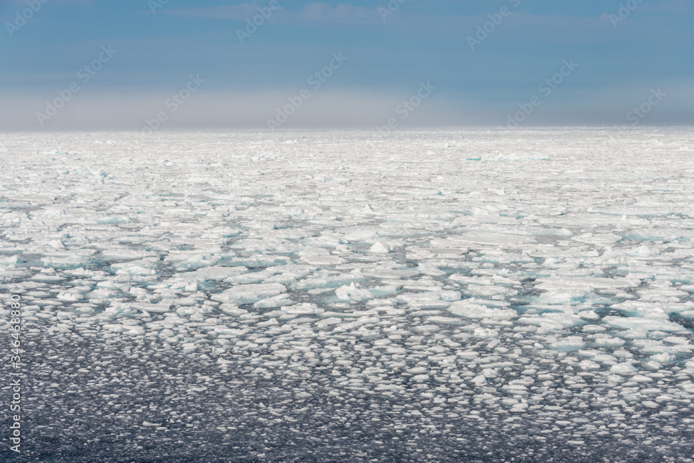 Arctic landscape - sea surface with ice floe Arctic landscape - sea surface with ice floe