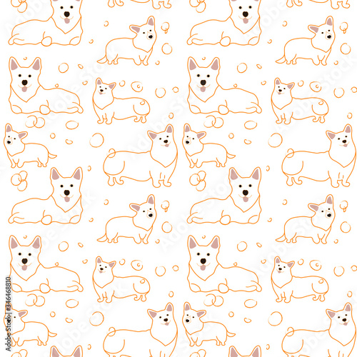 vector illustration pattern with corgi dogs