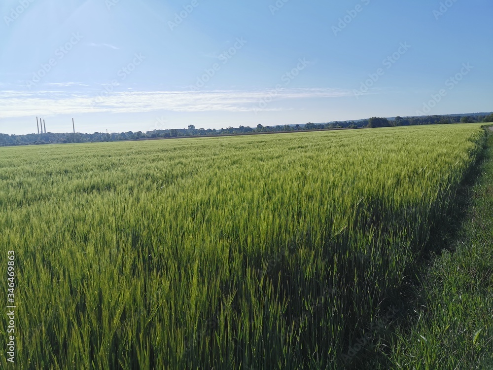 Landschaften; Hopfen; Feld; Ackerbau; Natur; Kirche; Landschaften; Hopfen; Feld; Ackerbau; Natur; Kirche;