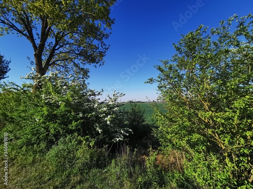 Landschaften  Hopfen  Feld  Ackerbau  Natur  Kirche 