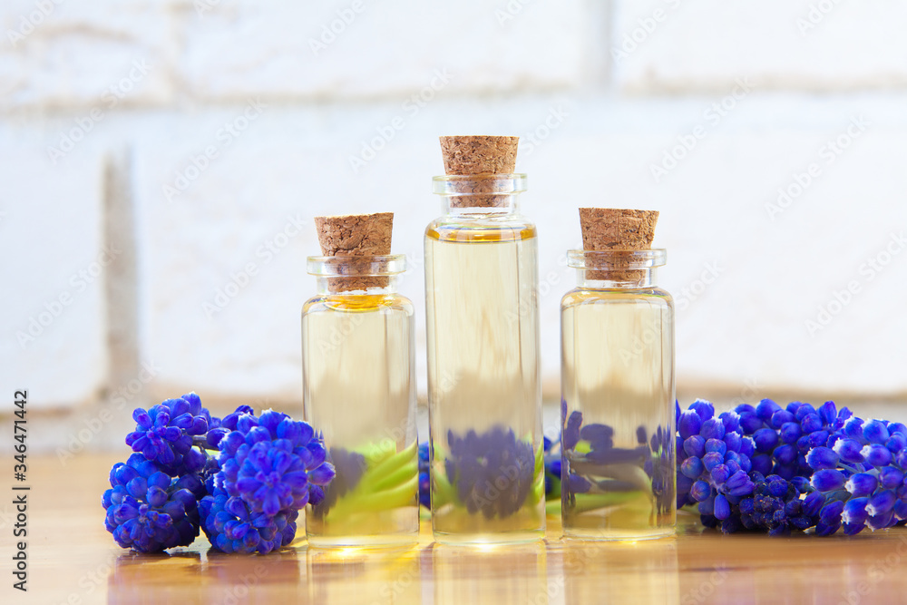 Essential oil of muscari flower on a table in beautiful bottle Essential oil of muscari flower on a table in beautiful bottle