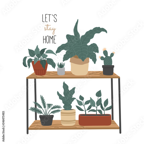 Let's stay home, set of hand drawn house plant, urban jungle in flat style, home decoration. Scandinavian interior. Vector illustration isolated background.  © Alice