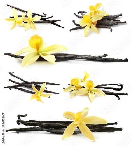 Set with aromatic vanilla pods and flowers on white background
