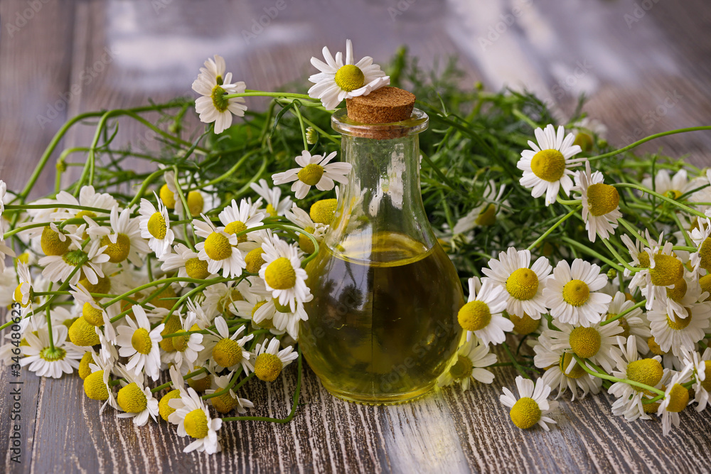 Daisies, chamomile flowers and chamomile oil in bottles on wooden background Daisies, chamomile flowers and chamomile oil in bottles on wooden background